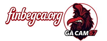GÀ CAM 67 | TRỰC TIẾP ĐÁ GÀ THOMO CPC1, CPC2, CPC3