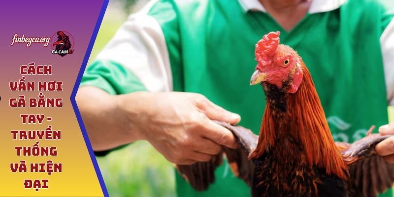 Cách vần hơi gà bằng tay - Truyền thống kết hợp hiện đại 4 Cách vần hơi gà bằng tay