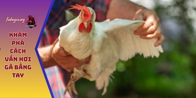 Cách vần hơi gà bằng tay - Truyền thống kết hợp hiện đại 5 Khám phá cách vần hơi gà bằng tay