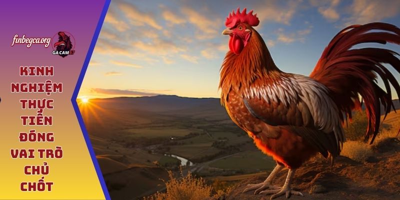 Kinh nghiệm thực tiễn đóng vai trò chủ chốt