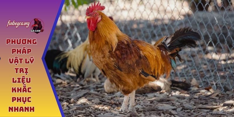 Phương pháp vật lý trị liệu khắc phục nhanh