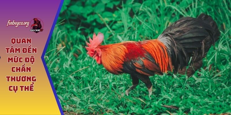 Quan tâm đến mức độ chấn thương cụ thể