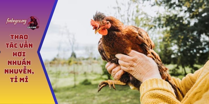 Cách vần hơi gà bằng tay - Truyền thống kết hợp hiện đại 6 Thao tác vẫn hơi nhuần nhuyễn, tỉ mỉ