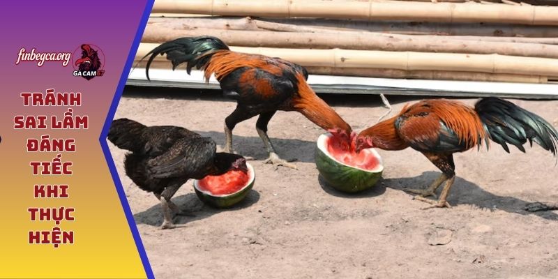 Tránh sai lầm đáng tiếc khi thực hiện