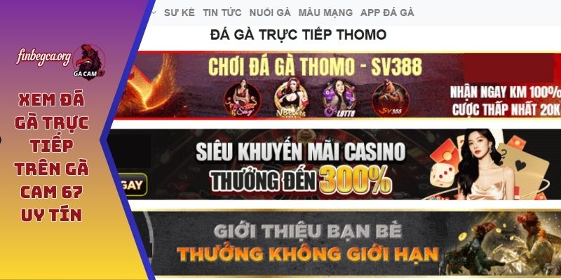 Trang Chủ 5 Xem đá gà trực tiếp trên GÀ CAM 67 uy tín